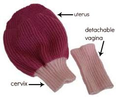 the parts of a knitted hat and mitten are labeled in red, pink, and white