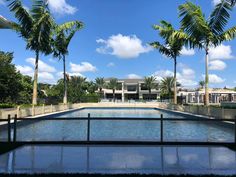 an empty swimming pool surrounded by palm trees