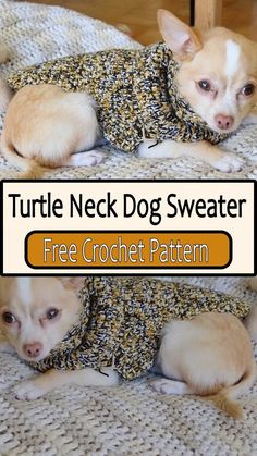 two small dogs laying on top of a bed next to each other with the caption turtle neck dog sweater free crochet pattern