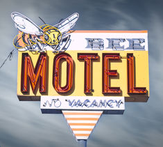 a neon sign that says bee motel no vaginacy on it's side