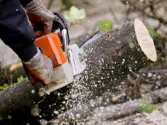 a man is using a chainsaw to cut down a tree