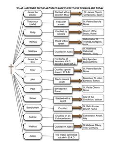 a diagram showing the main parts of an organization