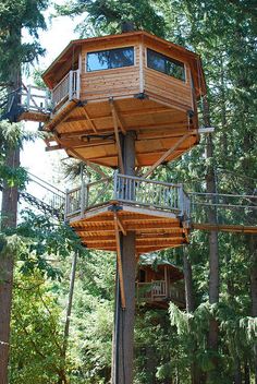 a tree house in the middle of some trees