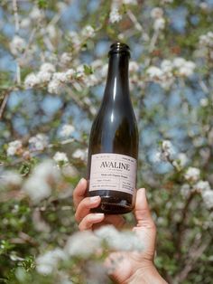 a person holding up a bottle of wine in front of a tree with white flowers