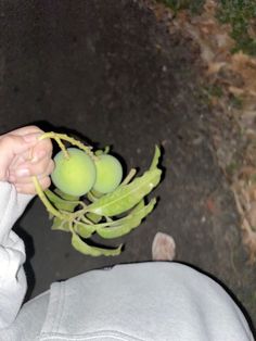 a person is holding some fruit in their hand and looking down at the camera lens