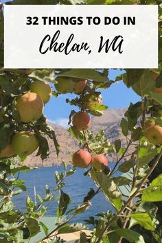 Looking for a destination getaway in Washington? You should visit Lake Chelan! It's one of our favorite places to vacation in Washington State. In this post, we share 32 fun activities to enjoy while visiting Lake Chelan.
#wanderlust
#lakechelan
#washington
#travel Lake Chelan Washington, Lake Stevens Washington, Moses Lake Washington, Places To Vacation, Hiking Guide