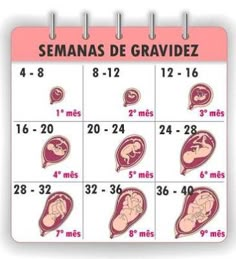 a calendar with the names and dates of babies in spanish, which are on it