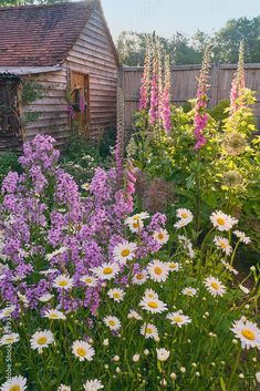 an old wooden shed surrounded by wildflowers and other flowers in the foreground