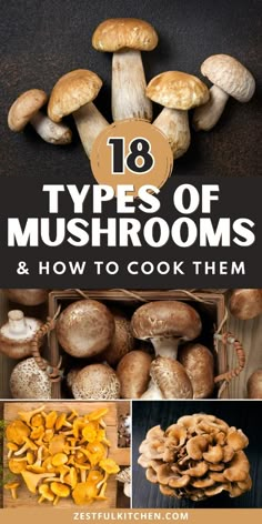 different types of mushrooms and how to cook them