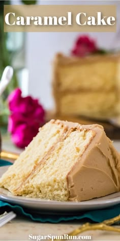 a close up of a slice of cake on a plate