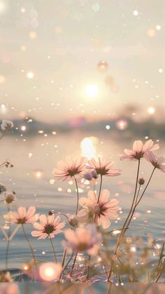 the sun shines brightly behind some daisies on the water's edge, with bubbles floating in the air