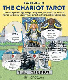 an advertisement for the chariot tarot, with pictures of cats and other things in it