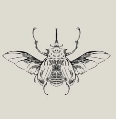 a black and white drawing of a bug