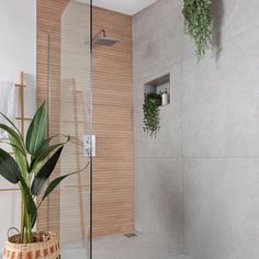 a bathroom with a plant in the corner next to the bathtub and shower head