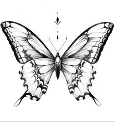 a black and white drawing of a butterfly