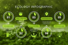 the ecology info graphic is displayed on a green background