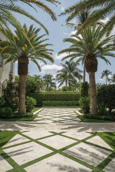 palm trees in front of a house with white and black tile walkway between two buildings