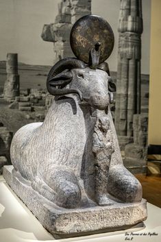 an animal statue is on display in a museum