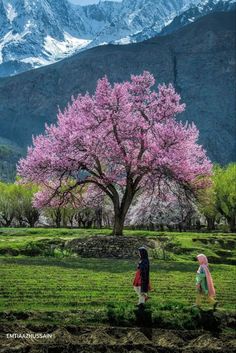 two children standing in front of a tree with pink flowers on it and mountains behind them