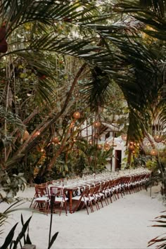 a long table is set up in the middle of palm trees