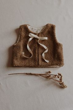 a piece of cloth is laying on the floor next to a dried flower and an object that looks like a vest