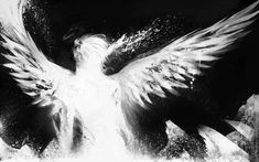 a black and white photo of a bird with its wings spread