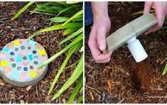 someone is using cement to make a garden decoration with colored dots on the ground and in the grass