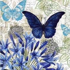 blue flowers and butterflies on a white background