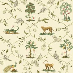 an animal themed wallpaper with various animals and plants on it's sides, including lions, tigers, leopards, and more