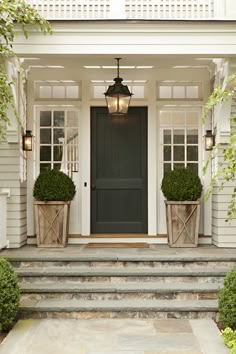 a black front door with two potted plants and a light hanging from the ceiling