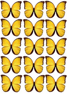 many yellow butterflies are arranged in rows on a white background stock photo - budget conscious