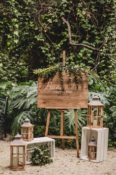 a wooden sign sitting in the middle of a lush green forest filled with lots of plants