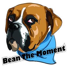 a brown and white dog wearing a blue bandana with the words bean the moment