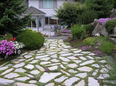 a stone path in front of a house surrounded by trees and bushes with purple flowers on each side