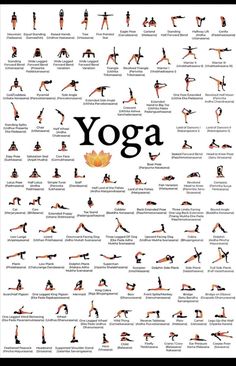 yoga poses and their names are shown in this poster