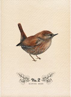 a watercolor painting of a bird on a white background with the words no 2 written below it