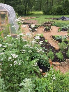 the garden is full of plants and flowers