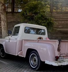 an old pink pick up truck with a dog in the back seat parked next to a tree