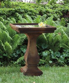 a bird bath sitting on top of a lush green field