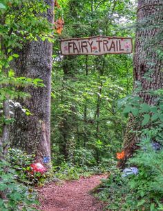 a trail sign hanging from the side of a tree in a lush green forest filled with trees