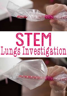 STEM Respiratory System Investigation Asthma versus Healthy - Healthy Lungs, Health Fair, Human Body Systems, Stem Projects, Stem Science