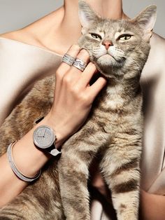 Dog Photoshoot Pet Photography, Aesthetic Jewellery, Diy Jewelry Display, Jewellery Photography, Cat Fashion