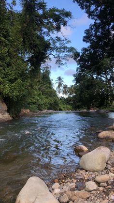 a river running through a lush green forest filled with lots of rocks and trees in the distance