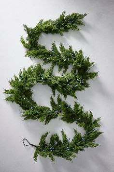 a bunch of branches with blue berries hanging from it's ends on a white wall