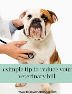 a dog being examined by a veterinarian with the words, a simple tip to reduce your veterinary bill