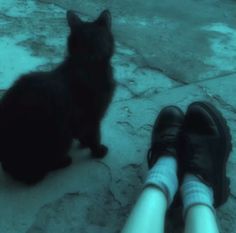 a black cat sitting next to a person's feet on the ground with their legs crossed