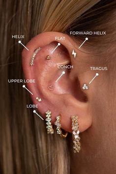 A nice overview of different piercing placements on an ear. You see where a lobe, upper lobe, helix, forward helix, flat, conch and tragus piercing is located.