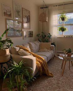 a living room filled with lots of plants next to a couch and table in front of a window