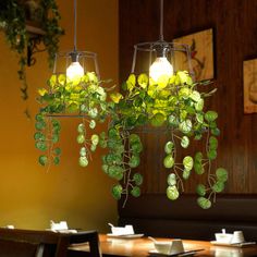 two hanging lights with plants growing from them in a dining room or bar area,