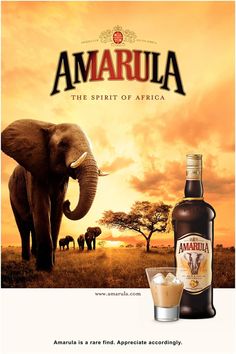 an advertisement for amarula, the spirit of africa with an elephant standing in front of it